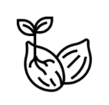 Seedpool